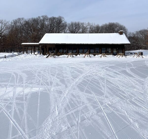 Cross Country Ski in Lake Elmo Park Reserve • Twin Cities Outdoors