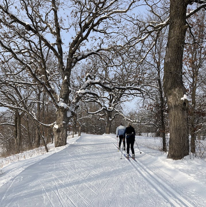 two adults cross country skiing through the trees on a groomed trail