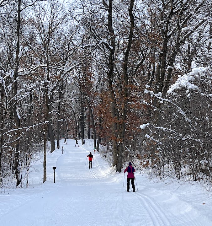 four cross country skiers on a groomed ski trail in the woods
