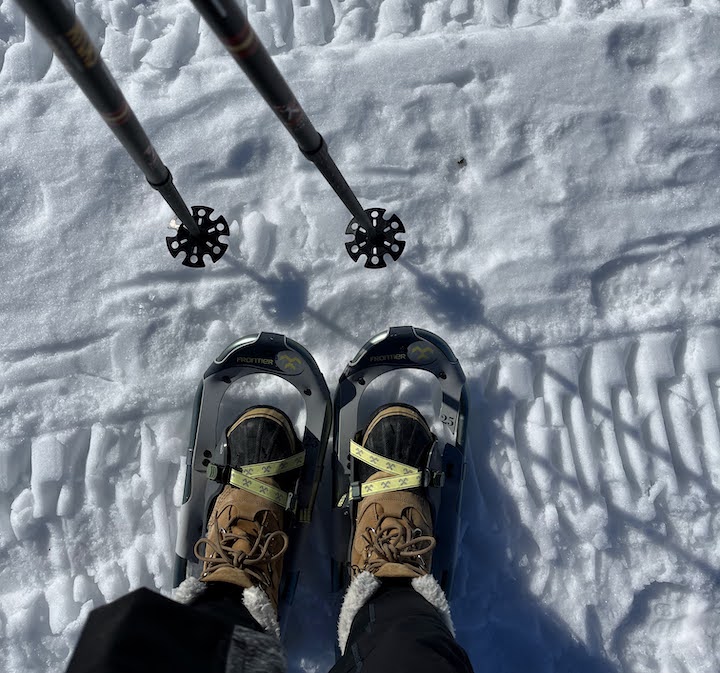 snowshoes, boots and trekking poles