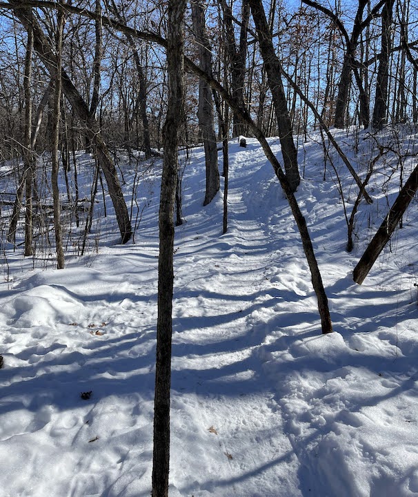 heading up a small hill through the woods on the snowshoe trail