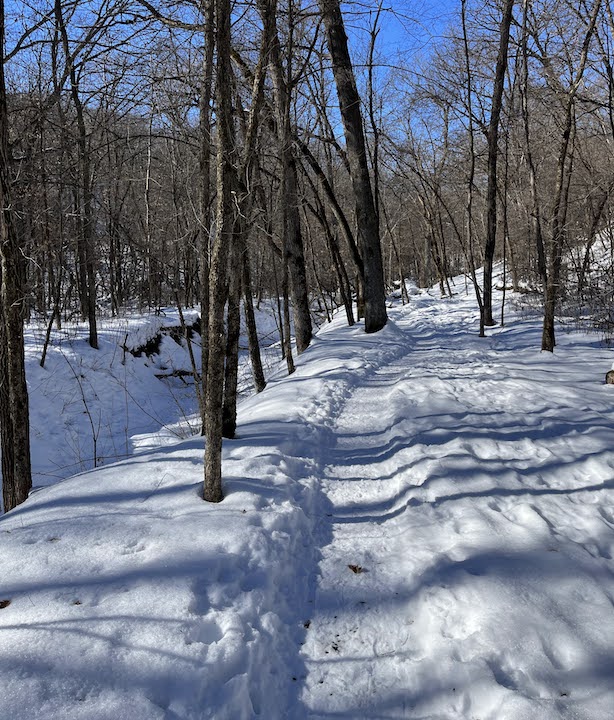 Snowshoe Your Way into Spring at Afton State Park • Twin Cities Outdoors