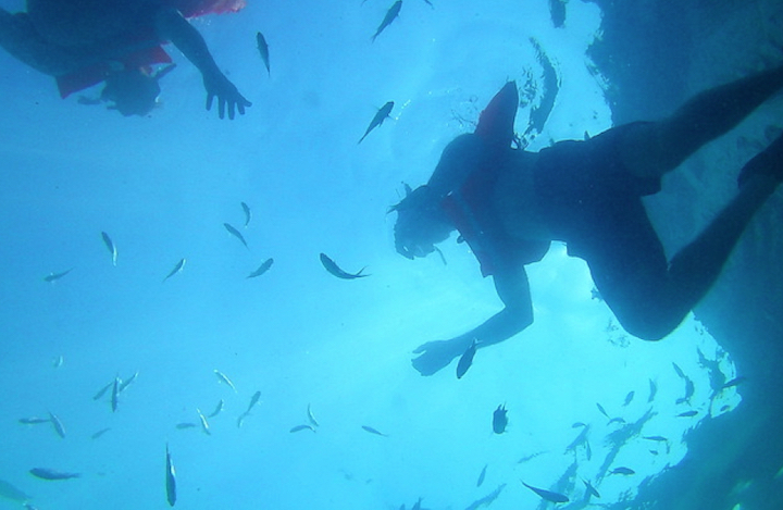 two people snorkeling among a bunch of little fish