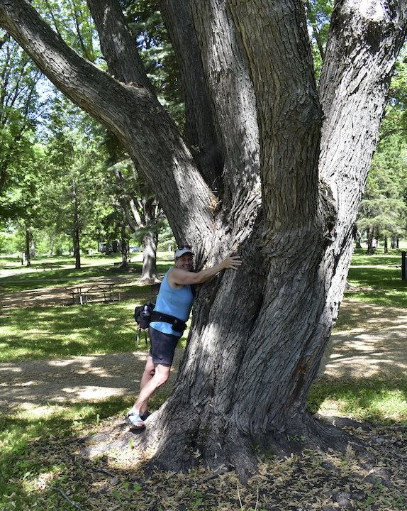 woman hugging a huge multi-trunk tree