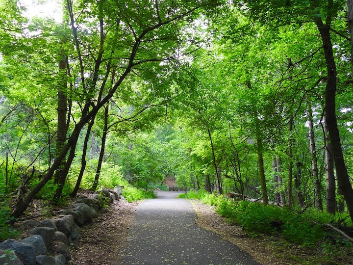 paved trail through Reservoir Woods Park, surrounded by trees