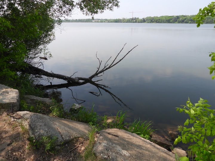 Looking over West Vadnais Lake