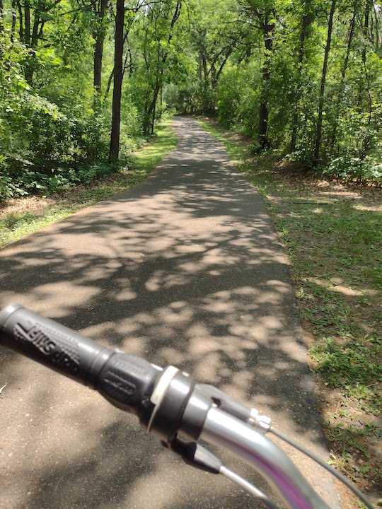 paved bike trail through the woods in Battle Creek Regional Park