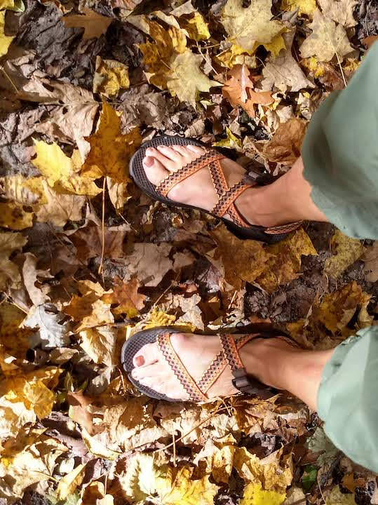 woman's legs and feet with Chaco sandals standing in fallen leaves