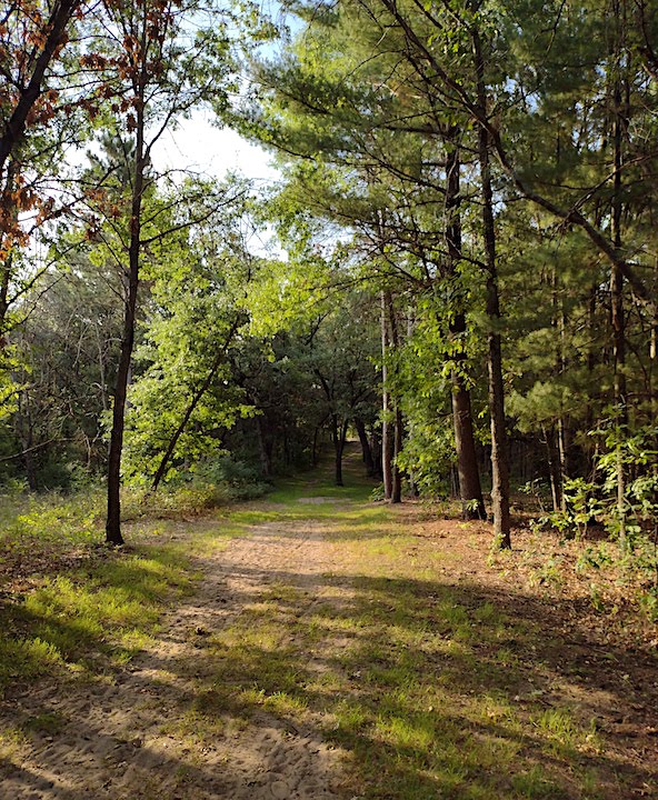 Advantages of Hiking on Dirt vs Paved Trails • Twin Cities Outdoors