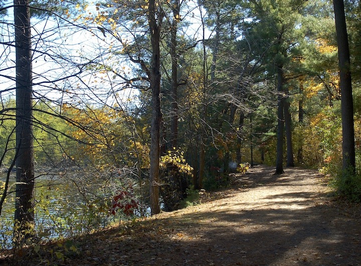 Riverside Trail, William O'Brien, next to the St Croix River