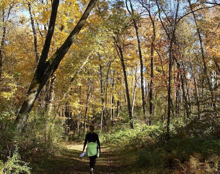 woman hiking on a wooded trail through golden trees