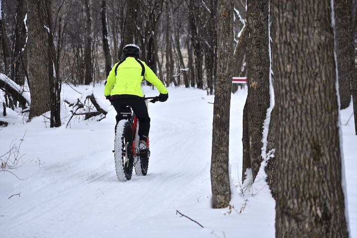 fat tire biker in the snow through the trees